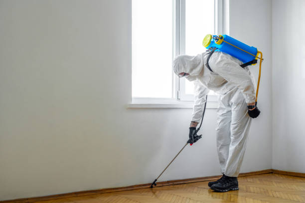 Best Residential Pest Control  in West Monroe, LA